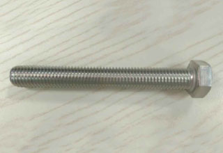 S.S A2 Hex Bolts 1/4X1