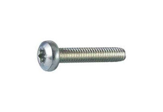Thread-Forming Raised Cheese Head Screws Din 7500 C TORX, 4 x 10