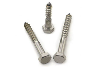 Coach Screws, Stainless Steel M10 x 70mm