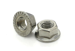 Flange Nuts, Stainless Steel M6