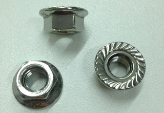 Flange Nuts, Stainless Steel M8