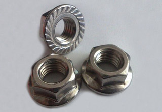 Flange Nuts, Stainless Steel M12
