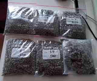SS304 Self-tapping flat head Torx Pin Screw M3 3