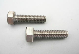 S304 T head bolts