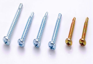 Self locking tapping Screw 