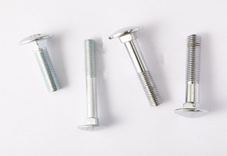 Stainless Steel Round Head Square Neck Carriage Bolt 