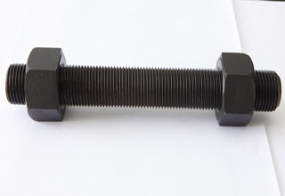 304 SS Stud Bolt with Two Nuts M8 